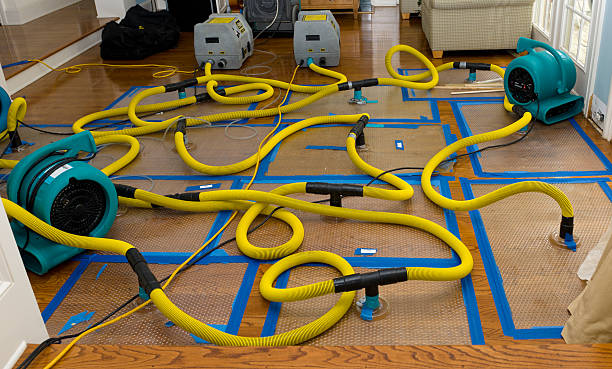 Professional Burst Pipe Water Damage technician working in Clintonville, PA